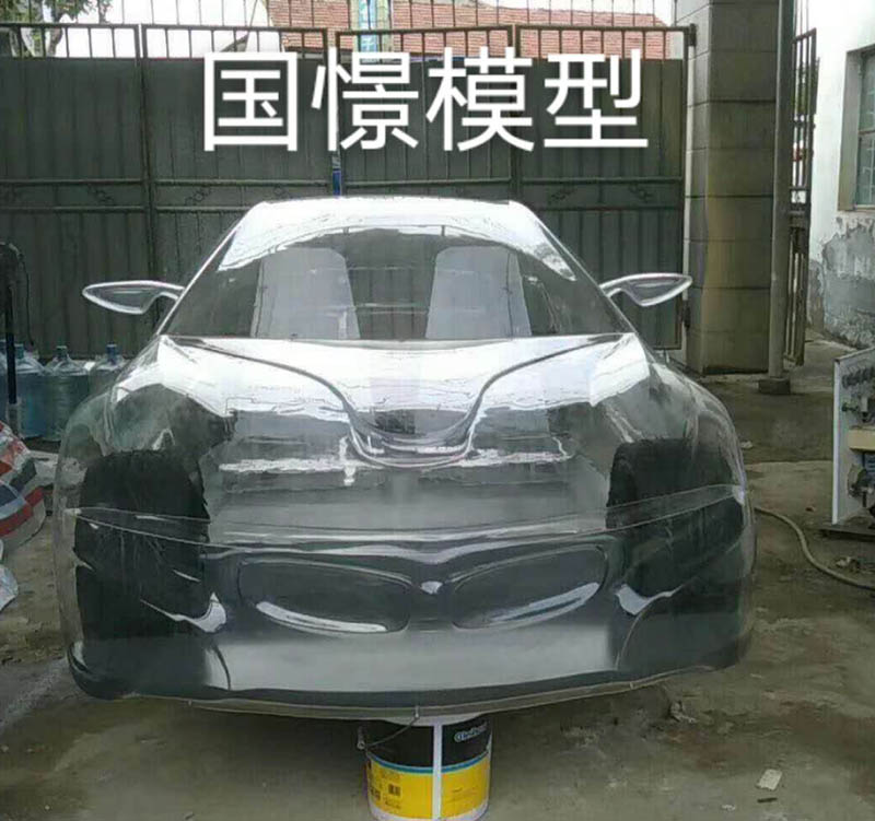 拜泉县透明车模型